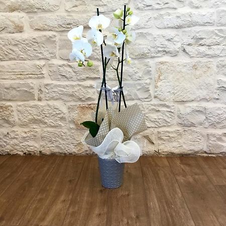 B&B Sant'Agostino Giovinazzo Exteriér fotografie